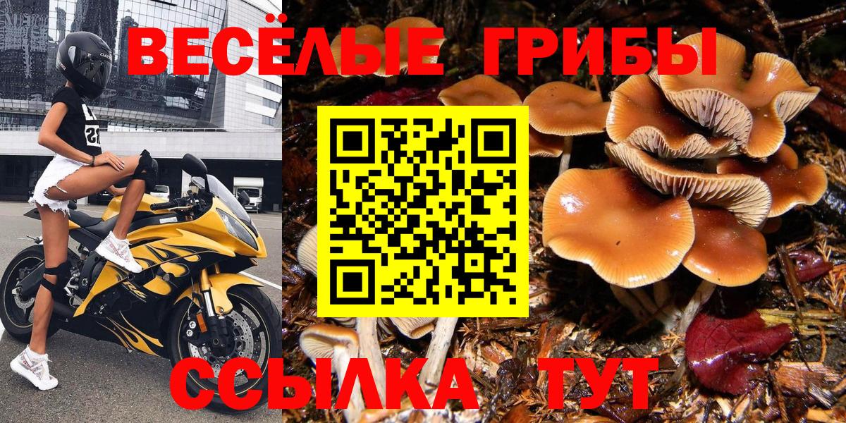 Псилоцибиновые грибы Cubensis  Вход с VPN  Псилоцибиновые грибы GOLDEN TEACHER  Рязань 
