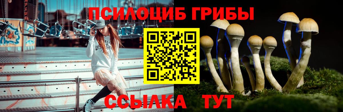 Галлюциногенные грибы Magic Shrooms Рязань
